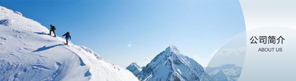 公司介紹